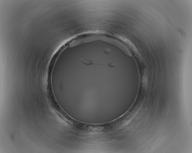 X0000111520484200907141511