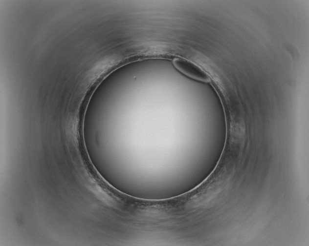 X0000111520485200907141511