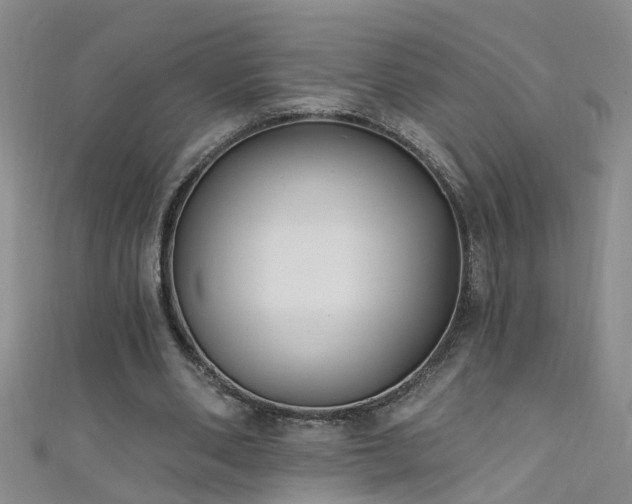 X0000111520486200907141511