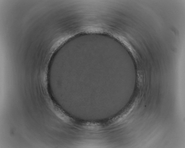X0000111520487200907141511