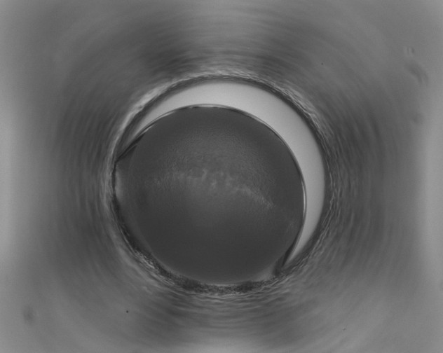 X0000111520488200907141511