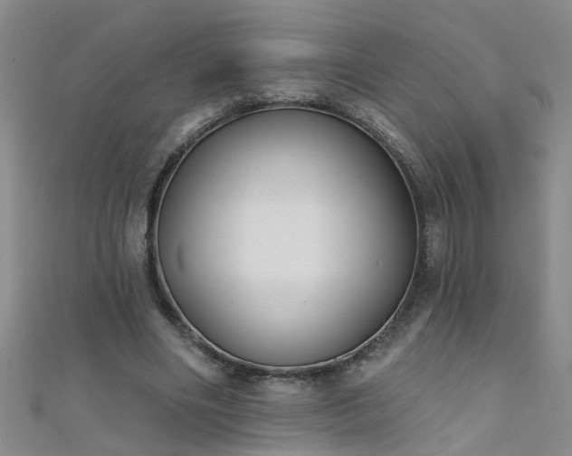 X0000111520490200907141511