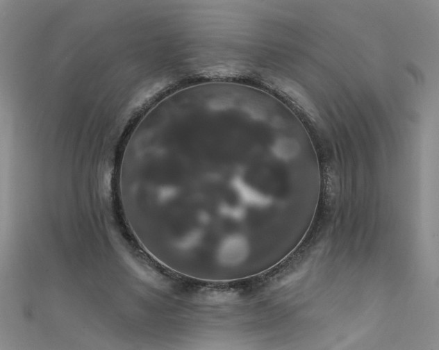 X0000111520491200907141511