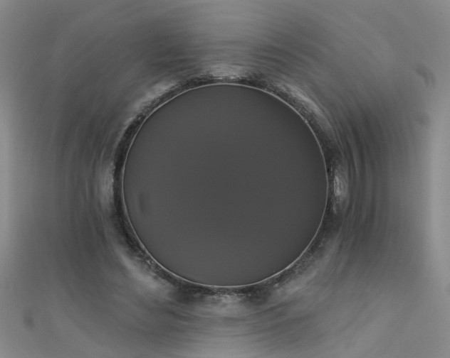 X0000111520492200907141511