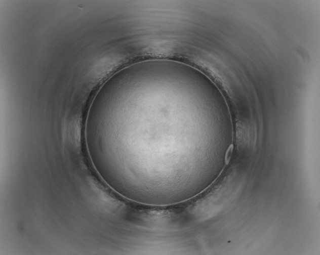 X0000111520493200907141511