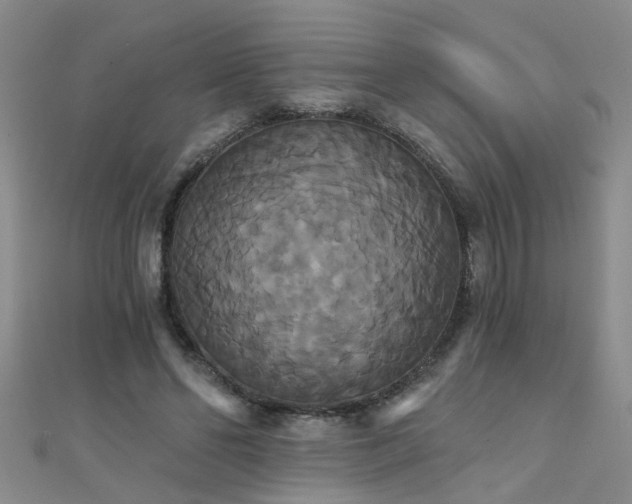 X0000111520494200907141511