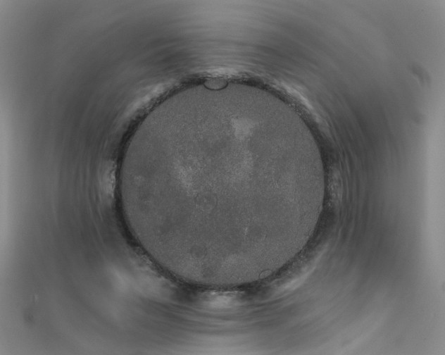 X0000111520495200907141511