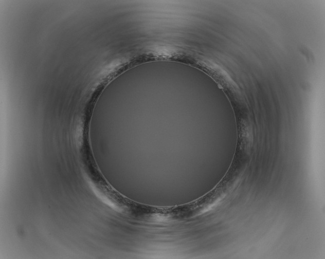 X0000111520496200907141511