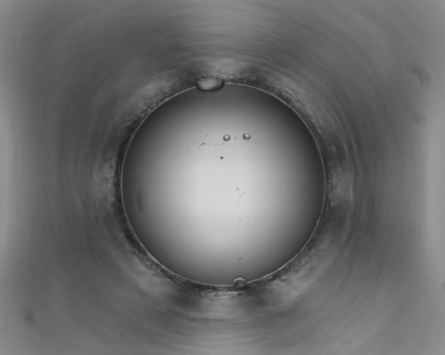 X0000111520497200907141511