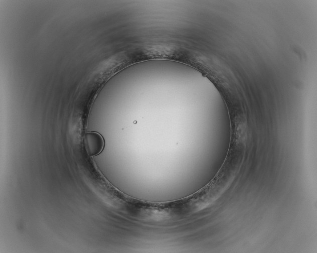 X0000111520498200907141511