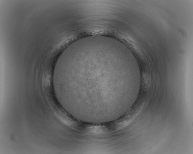 X0000111520499200907141511