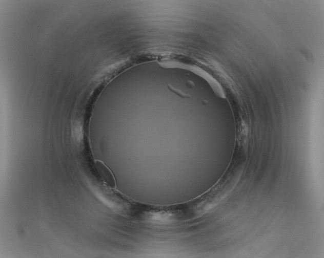 X0000111520500200907141511