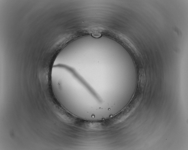 X0000111520501200907141511