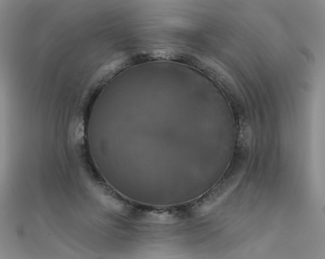 X0000111520502200907141511