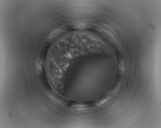 X0000111520503200907141511