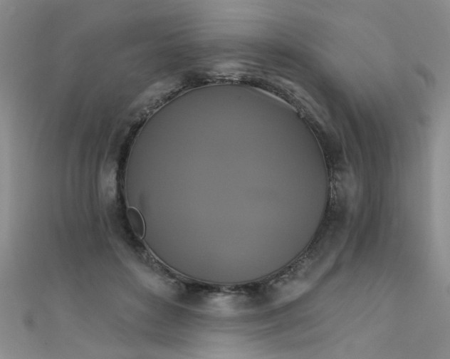 X0000111520504200907141511