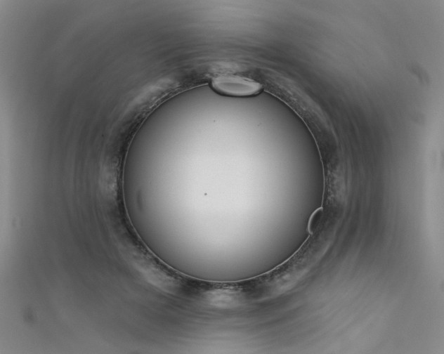 X0000111520505200907141511