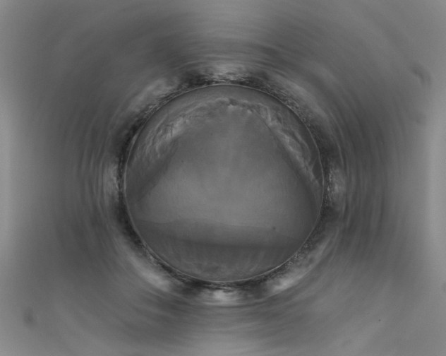 X0000111520506200907141511