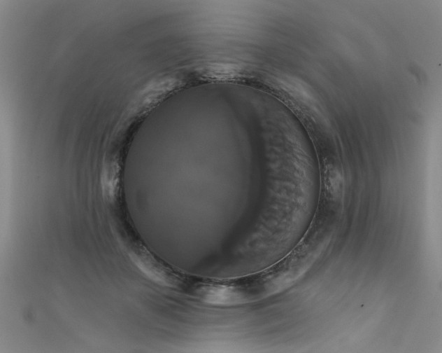X0000111520507200907141510