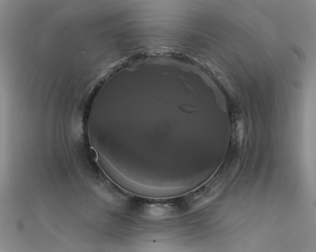 X0000111520508200907141510