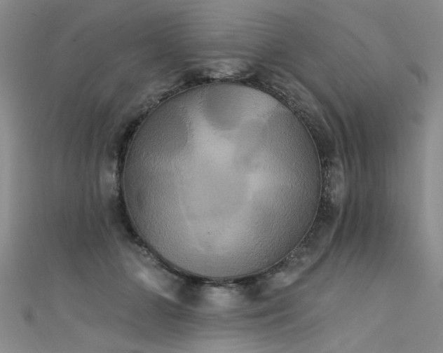 X0000111520510200907141510