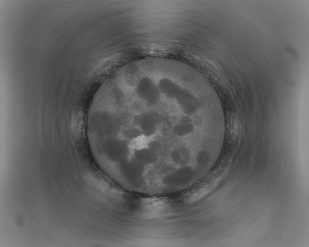 X0000111520511200907141510