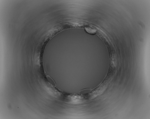 X0000111520512200907141510