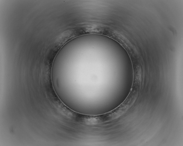 X0000111520513200907141510