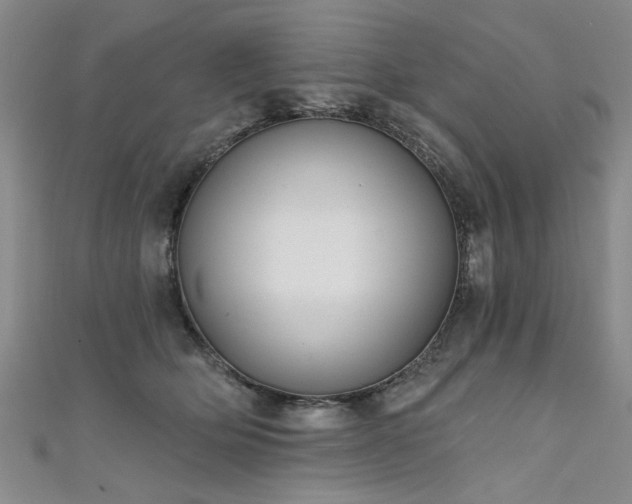 X0000111520514200907141510