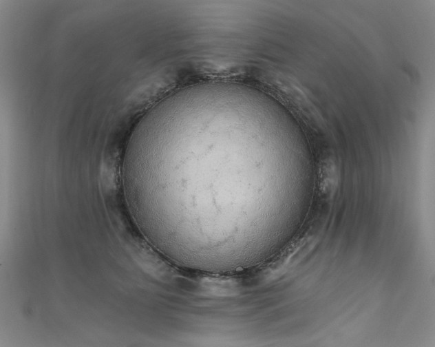 X0000111520515200907141510