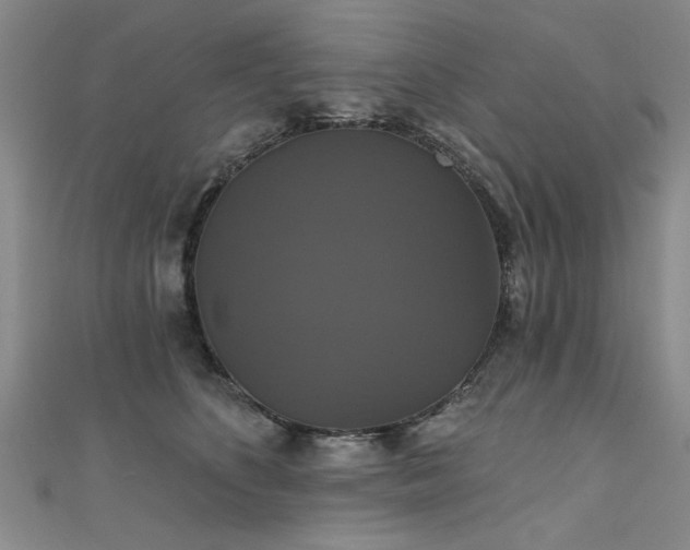 X0000111520516200907141510