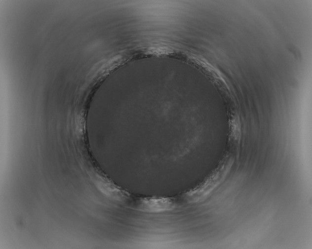 X0000111520517200907141510