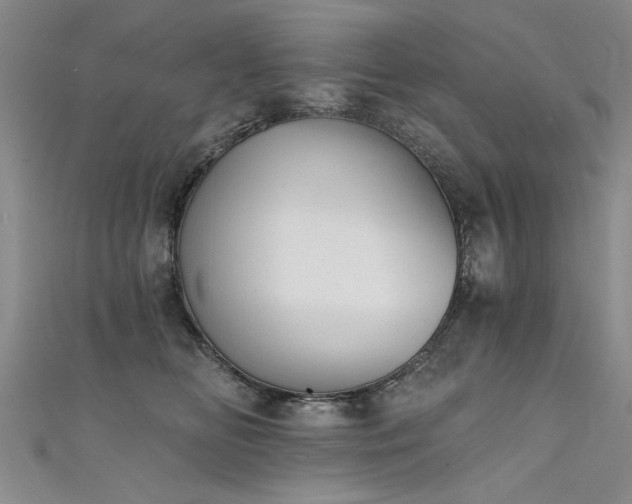X0000111520518200907141510
