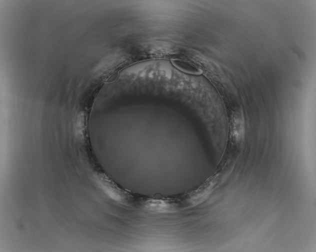 X0000111520519200907141510