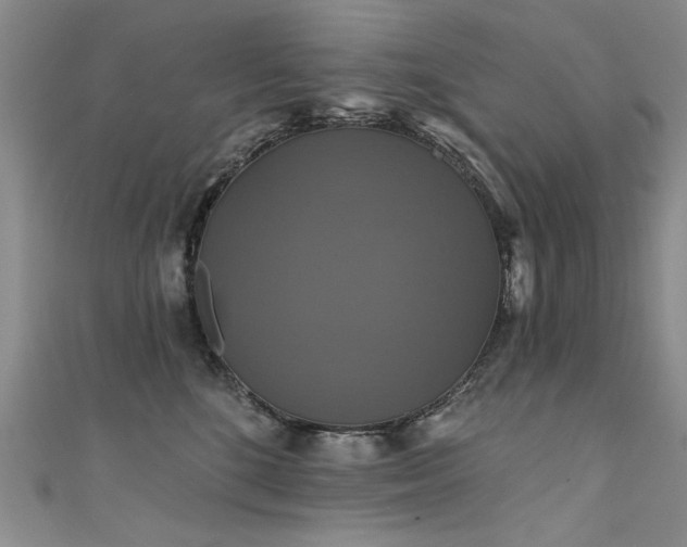 X0000111520520200907141510