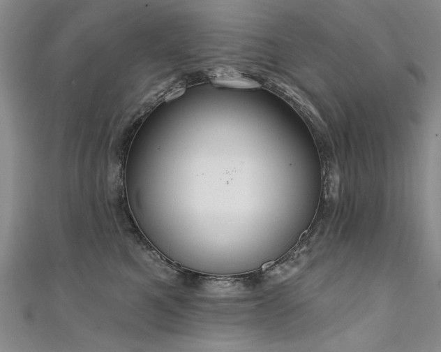 X0000111520521200907141510