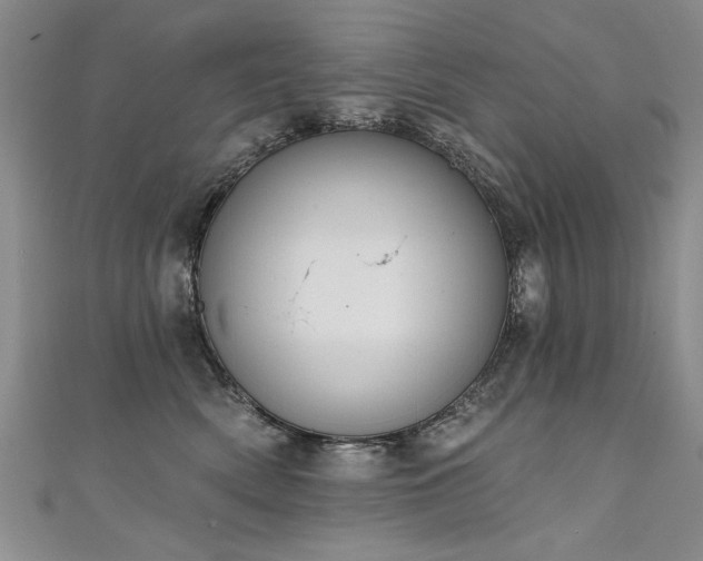 X0000111520522200907141510