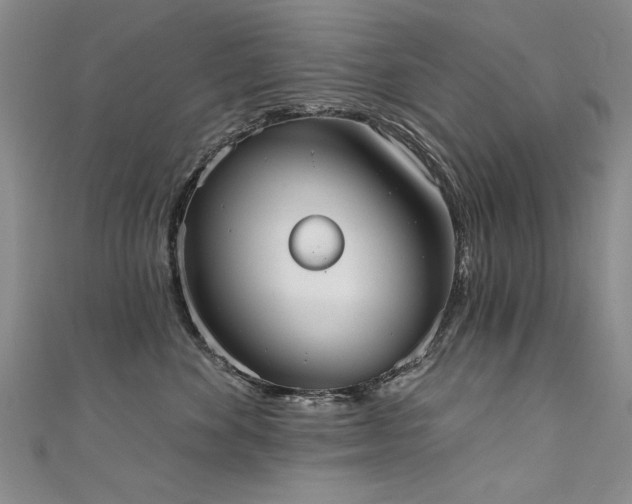 X0000111520524200907141510