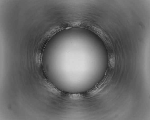X0000111520525200907141510