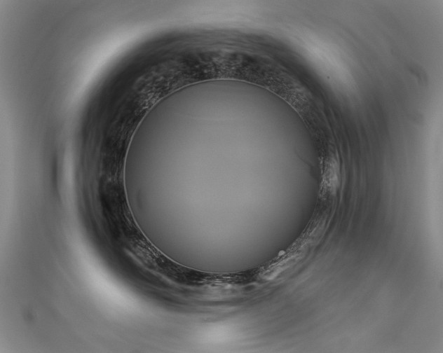 X0000111520526200907141510