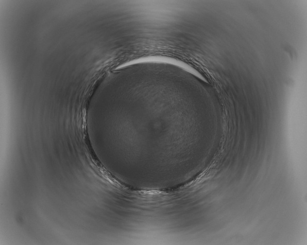 X0000111520528200907141510