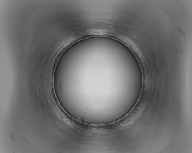 X0000111520529200907141510