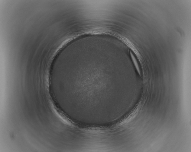 X0000111520530200907141510