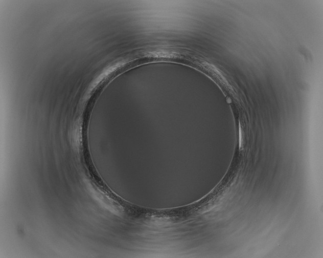 X0000111520531200907141510