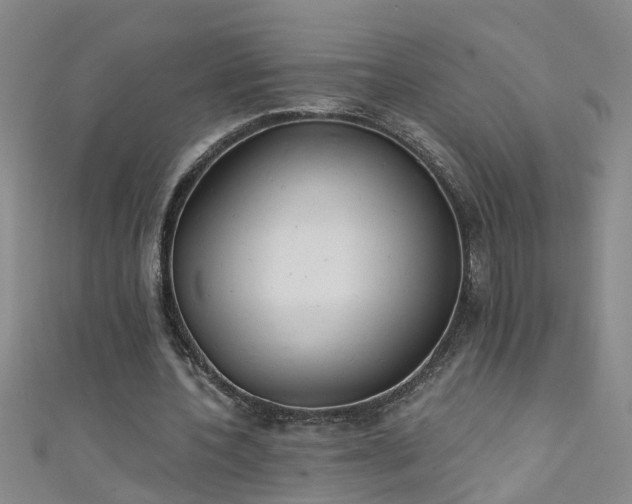 X0000111520532200907141510