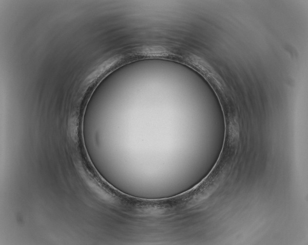 X0000111520533200907141510