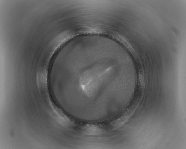 X0000111520534200907141510
