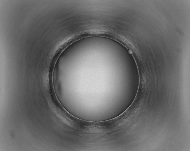 X0000111520535200907141510