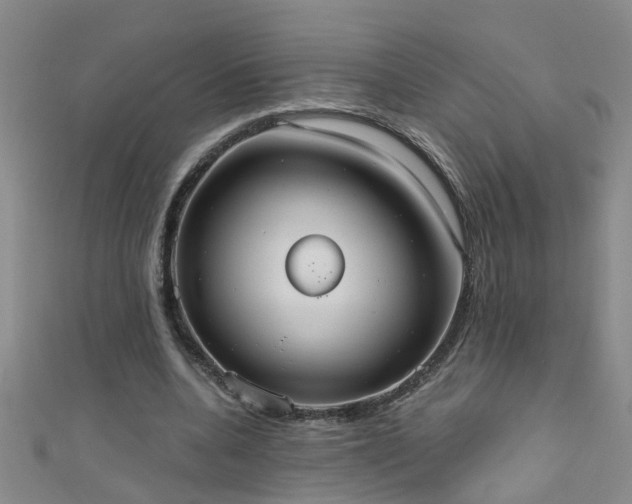 X0000111520536200907141510