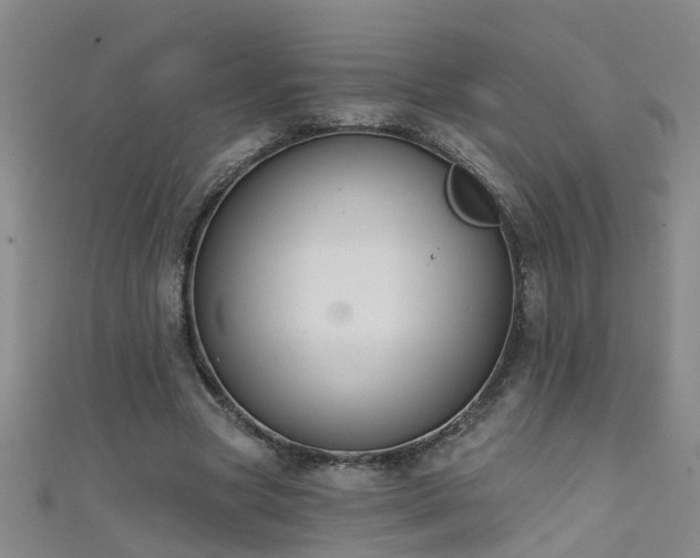 X0000111520537200907141510